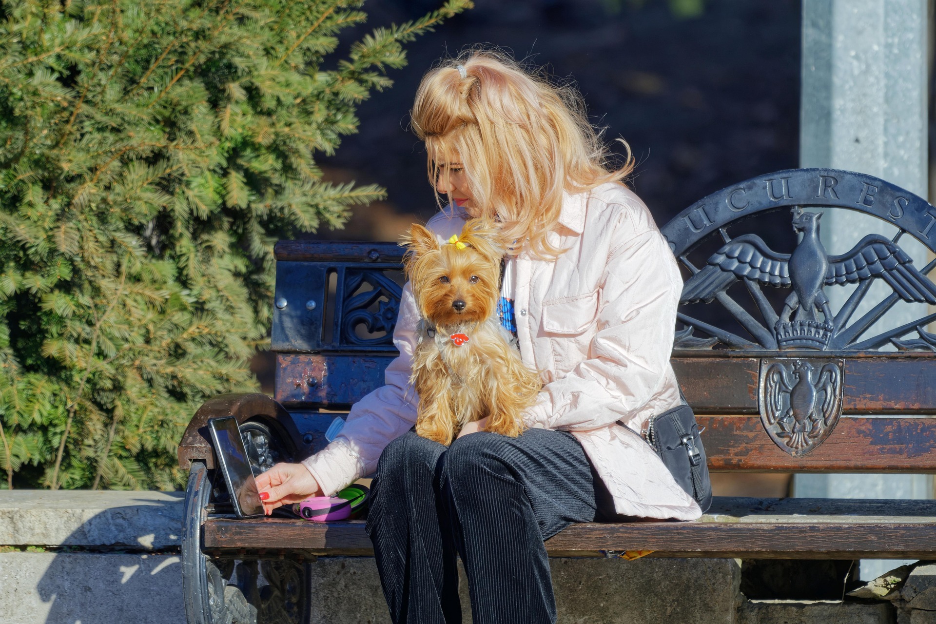 surprising_media-woman-6997593_1920